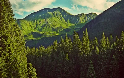 Nature Mountain Nature Nature Wallpaper 4K 1920x1200 Nature, Mountain, Hd, Desktop, Wallpaper, Background, Image, White, Ultrawide, Full HD