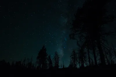 Serene Silhouette Trees Starry Space Wallpaper 4K 2048x1365 A, Serene, Silhouette, Of, Trees, Against, Starry, Sky, Featuring, Milky, Way, Captures, Ultrawide, Full HD