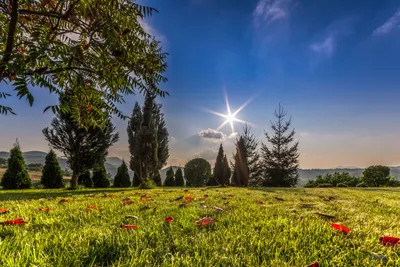 Nature Capturing Vibrant Wallpaper 4K, Nature category