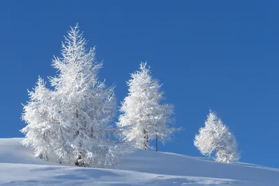 Serene Pristine Wallpaper Wallpaper 4K, Nature category