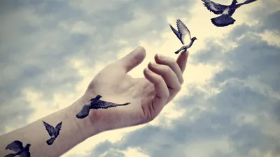 Birds Illusion Animals Wallpaper 4K, Animals category