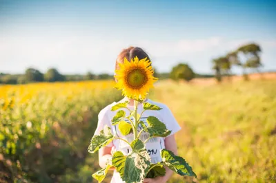 Little Girl Sunflower Field Abstract Wallpaper 4K 2208x1471 Full HD, Ultrawide