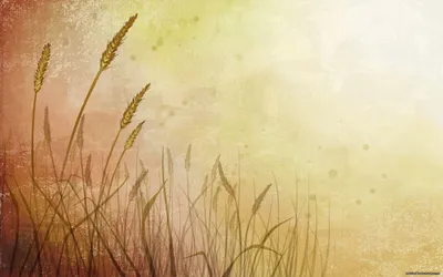 Abstract Artistic Softly Wallpaper 4K, Abstract category