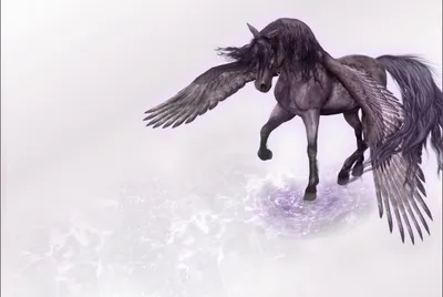 Majestic Black Pegasus Flowing Mane Fantasy Wallpaper 4K 2200x1473 A, Majestic, Black, Pegasus, With, Flowing, Mane, And, Wings, Gracefully, Standing, Shallow, White, Landscape, Full HD