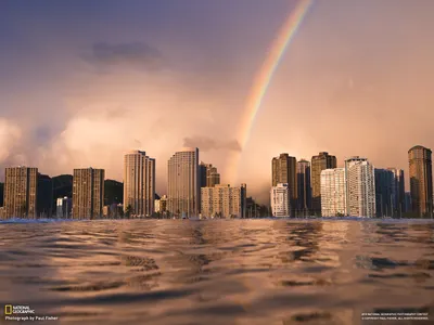 Hawaii Waikiki Man World Wallpaper 4K 1600x1200 Hawaii, Waikiki, Man, Made, City, Hd, Desktop, Wallpaper, Brown, Gray, Landscape