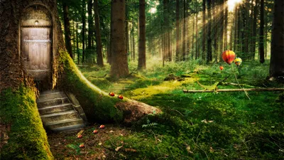 Fantasy Forest Sunbeam Filtering Trees Wallpaper 4K, Nature category
