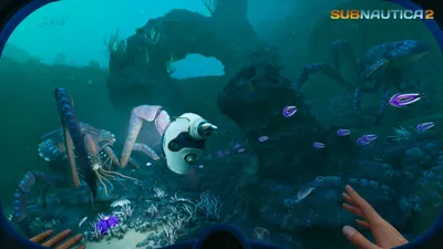 Video Game Subnautica First Animals Wallpaper 4K 3838x2158 First-person, Ultrawide, QHD