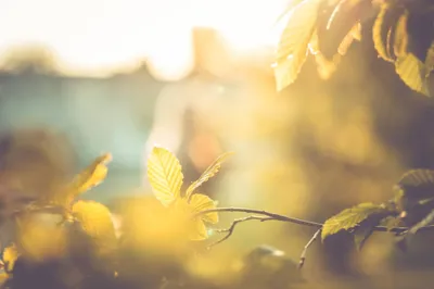 General Wallpaper 2208x1471 Nature Wallpaper 4K 2208x1471 Full HD, Ultrawide