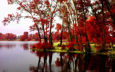 Golden Serene Wallpaper Nature Wallpaper 4K 1920x1200 Hd, Wallpaper, Of, A, Serene, Lake, Surrounded, By, Vibrant, Red, Trees, Reflecting, White, Gray, Ultrawide, Full HD