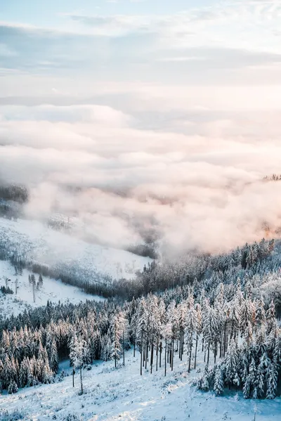 Winter Mountains Scenery Nature Wallpaper 4K 2208x3310 Full HD, Portrait