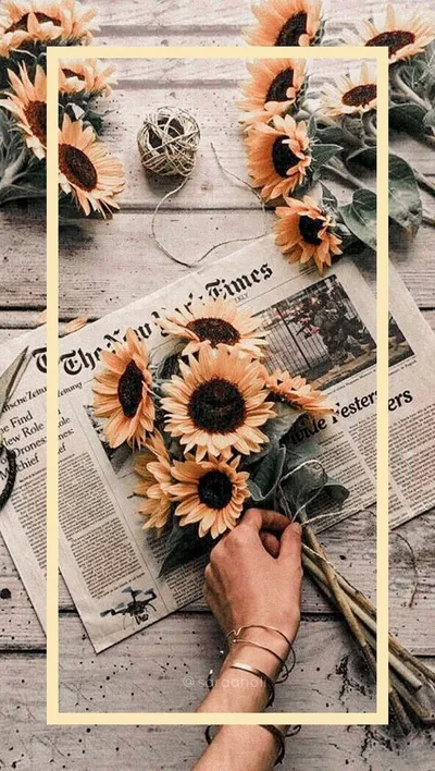Flower Iphone Wallpaperbat Nature Wallpaper 4K 1084x1920 Gray, White