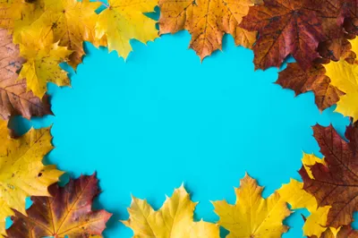 General Wallpaper 2208x1471 Nature Wallpaper 4K 2208x1471 Blue, Full HD, Ultrawide