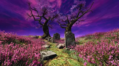 General Wallpaper 5502x3070 Nature Wallpaper 4K 5502x3070 Ps2-style, Purple-pink, Ultrawide, 4k