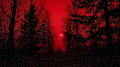 General Wallpaper 5502x3070 Nature Wallpaper 4K 5502x3070 Blood-red, Ultrawide, 4k