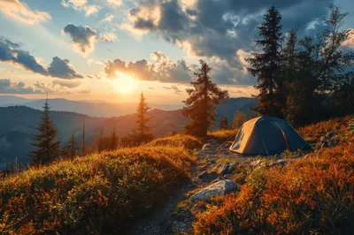General Wallpaper 2208x1471 Nature Wallpaper 4K 2208x1471 Full HD, Ultrawide