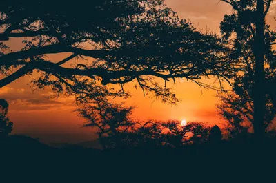 General Wallpaper 2208x1465 Nature Wallpaper 4K 2208x1465 Hour, Full HD, Ultrawide
