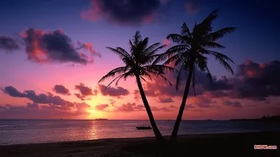 Dark Sunset Wallpaper Wallpaper 4K, Nature category