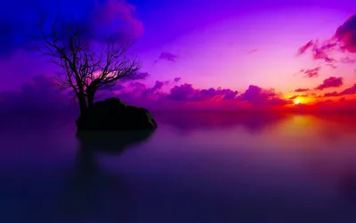 Epic Sunset Wallpaper Wallpaper 4K, World category