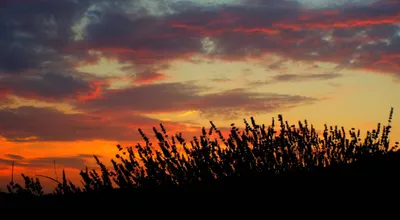 Dark Sunset Wallpaper Wallpaper 4K, Nature category