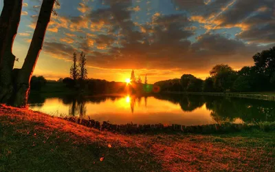 Vibrant Spring Wallpaper Wallpaper 4K, Nature category