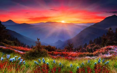 Mountain Sunset Wallpapersafari Wallpaper 4K, Nature category