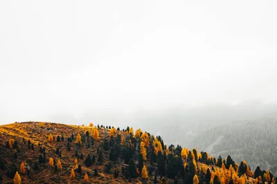 General Wallpaper 2208x1471 Nature Wallpaper 4K 2208x1471 Full HD, Ultrawide