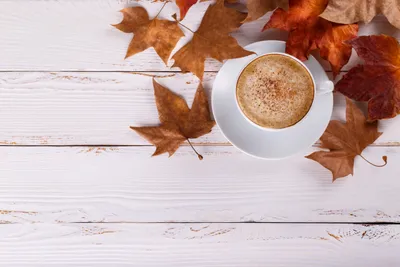 Drink Cup Leaf Abstract Wallpaper 4K 5439x3626 Drink, Cup, Leaf, Food, Coffee, Hd, Desktop, Wallpaper, White, Landscape, 4k