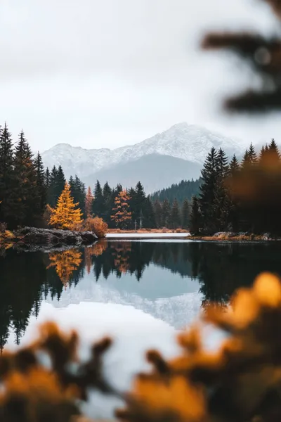 General Wallpaper 2208x3313 Nature Wallpaper 4K 2208x3313 Full HD, Portrait