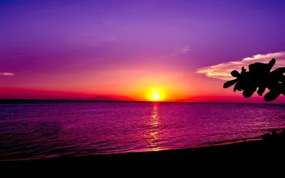 Beach Sunset Com Wallpaper 4K, Nature category