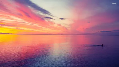 Sunset Wallpaperbat Nature Wallpaper 4K, Nature category
