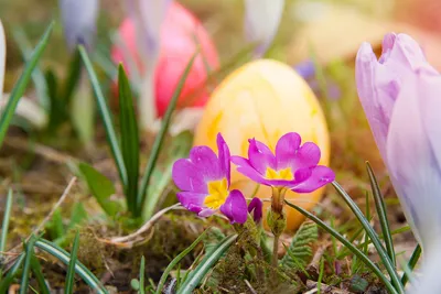 Misty Colorful Wallpaper Abstract Wallpaper 4K 1920x1280 Hd, Pc, Desktop, Wallpaper, Featuring, Colorful, Easter, Eggs, Nestled, Among, Vibrant, Spring, White, Landscape, Full HD
