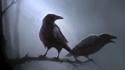 Two Ravens Perched Wallpaper 4K, Animals category