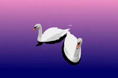 Moody Two Wallpaper Abstract Wallpaper 4K 3042x2004 Two, Swans, White, Pink, Gray, Ultrawide, QHD