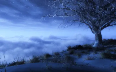 Bright Lonely Wallpaper Nature Wallpaper 4K 1920x1200 A, Hd, Wallpaper, Featuring, Lonely, Tree, Against, Starry, Sky, Shrouded, Fog, Clouds, Pink, Gray, Ultrawide, Full HD