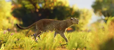 Serene Wildlife Wallpaper Animals Wallpaper 4K 3492x1529 White, Yellow