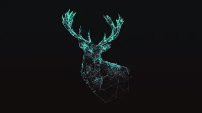 Moody Geometric Wallpaper Wallpaper 4K, Animals category