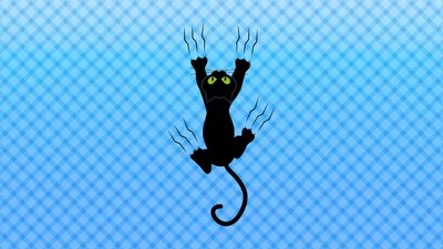 Minimalist Animal Cat Animals Wallpaper 4K 2560x1440 Minimalist, Animal, Cat, Hd, Desktop, Wallpaper:, Background, Pink, Yellow, Ultrawide, QHD