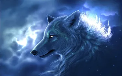 Moody Wolf Wallpaper Wallpaper 4K, Animals category