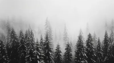 General Wallpaper 2208x1236 Nature Wallpaper 4K 2208x1236 Full HD, Ultrawide