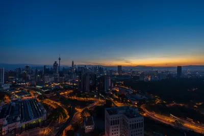 Vivid Malaysia Wallpaper Wallpaper 4K, Animals category
