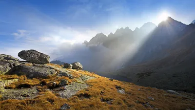 Golden Serene Wallpaper Wallpaper 4K, Nature category