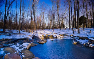 Dark Serene Wallpaper Nature Wallpaper 4K 2560x1600 A, Serene, Winter, Landscape, Featuring, Frozen, Pond, Surrounded, Bare, Trees, Capturing, Tranquility, Red, Brown, Ultrawide, QHD