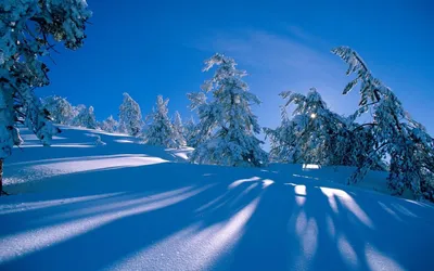 Dark Serene Wallpaper Nature Wallpaper 4K 1920x1200 A, Serene, Winter, Landscape, Features, Snow-covered, Trees, Under, Bright, Blue, Sky, Creating, Red, Ultrawide, Full HD