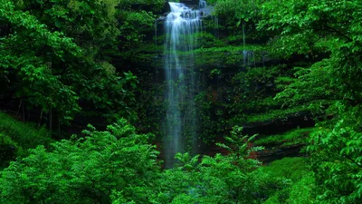 Crisp Lush Wallpaper Nature Wallpaper 4K 3840x2160 Hd, Desktop, Wallpaper, Showcasing, A, Lush, Green, Forest, Beautiful, Waterfall, Cascading, Down, Brown, Gray, Ultrawide, 4K