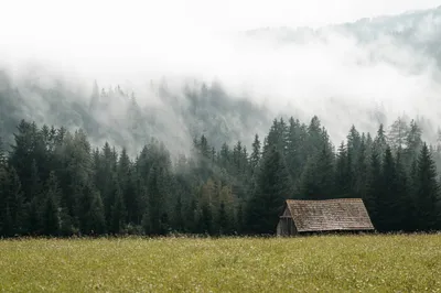Bold Old Wallpaper Nature Wallpaper 4K 2208x1471 Near, Full HD, Ultrawide