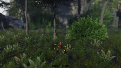 Vibrant Red Chicken Amidst Lush Games Wallpaper 4K 1920x1080 A, Vibrant, Hd, Wallpaper, Featuring, Red, Chicken, Amidst, Lush, Greenery, Inspired, Video, Brown, Ultrawide, Full HD