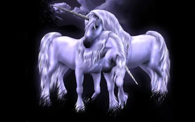 Fantasy Two Majestic Unicorns Standing Wallpaper 4K, Fantasy category