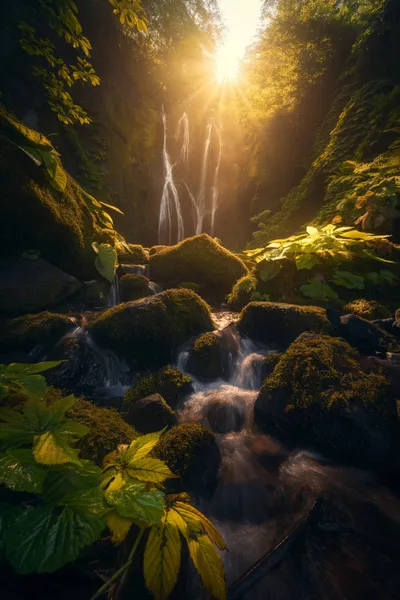 Hidden Waterfall Tropical Nature Wallpaper 4K 2208x3313 Full HD, Portrait