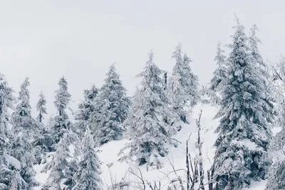 General Wallpaper 2208x1471 Nature Wallpaper 4K 2208x1471 Full HD, Ultrawide
