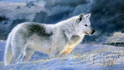 Painting White Wolf Snow Nature Wallpaper 4K 1918x1078 Blue, Ultrawide